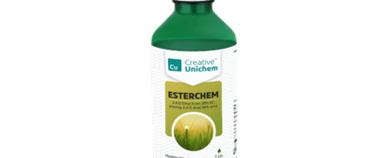 2,4-D (Acid / Dimethylamine / Ethyl Ester)